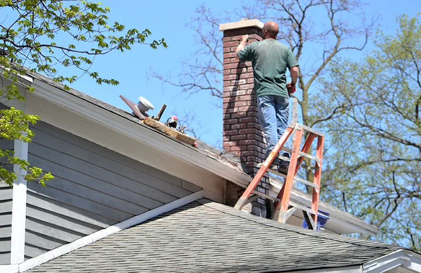 Chimney & Fireplace Inspections Services in Corinth, TX